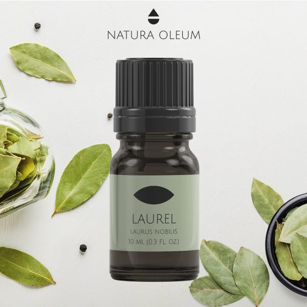 Laurel-Essential-Oil-1-Natura-Oleum