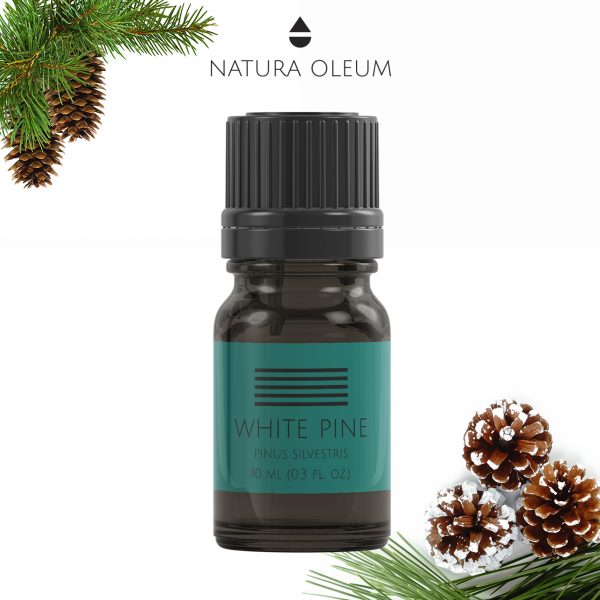 White-Pine-essential-oil-Natura-Oleum